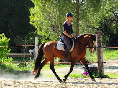 Cheval d'Ehwaz à Junas