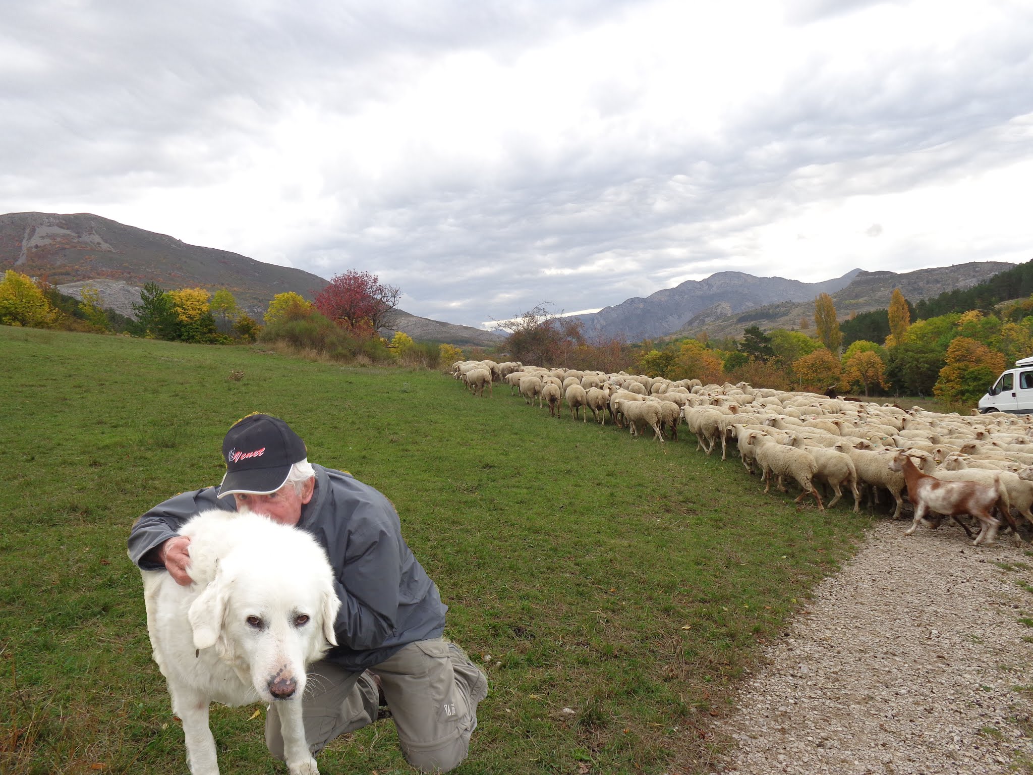 Photo n° 1 de l'avis de mathieu.u fait le 12/11/2019 à 17:21