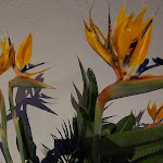 Photo n°6 de l'avis de Sandra.i fait le 01/05/2023 à 13:09 sur le  HOTEL EVA à Villafiore