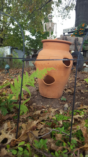 Farm «B & B Flower Farm», reviews and photos, 668 Jones Hill Rd, West Haven, CT 06516, USA