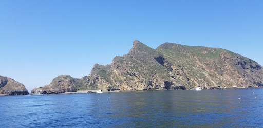 Island Packers Cruises - Oxnard image