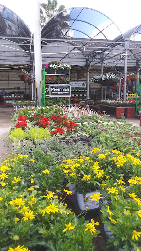 Home Improvement Store «The Home Depot», reviews and photos, 2901 N University Dr, Sunrise, FL 33322, USA