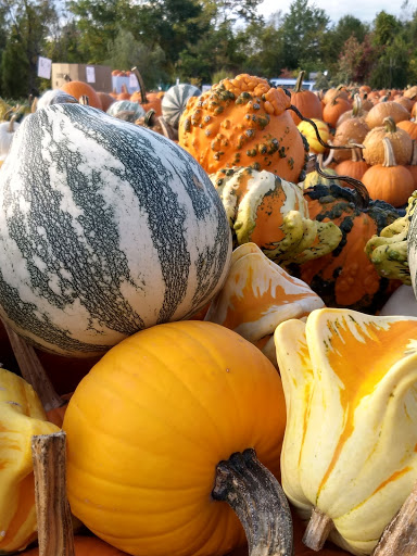 Produce Market «The Bigsby Market», reviews and photos, 1418 Dryden Rd, Freeville, NY 13068, USA