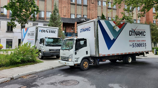 Dynamic Moving Montreal