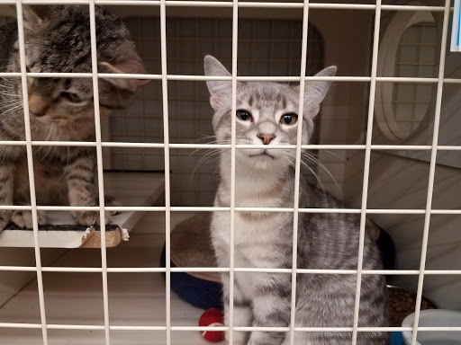 Pet Supply Store «Petco Animal Supplies», reviews and photos, 753 53rd Ave NE, Fridley, MN 55421, USA