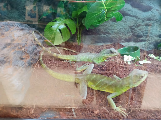 Pet Supply Store «Petco Animal Supplies», reviews and photos, 22511 TX-249, Houston, TX 77070, USA