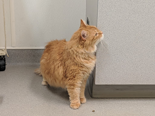 550 Park Dr, Boiling Springs, PA 17007, USA