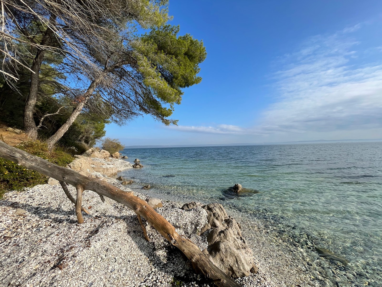 Plage de Figuerolles'in fotoğrafı vahşi alan