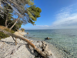 Plage de Figuerolles'in fotoğrafı vahşi alan