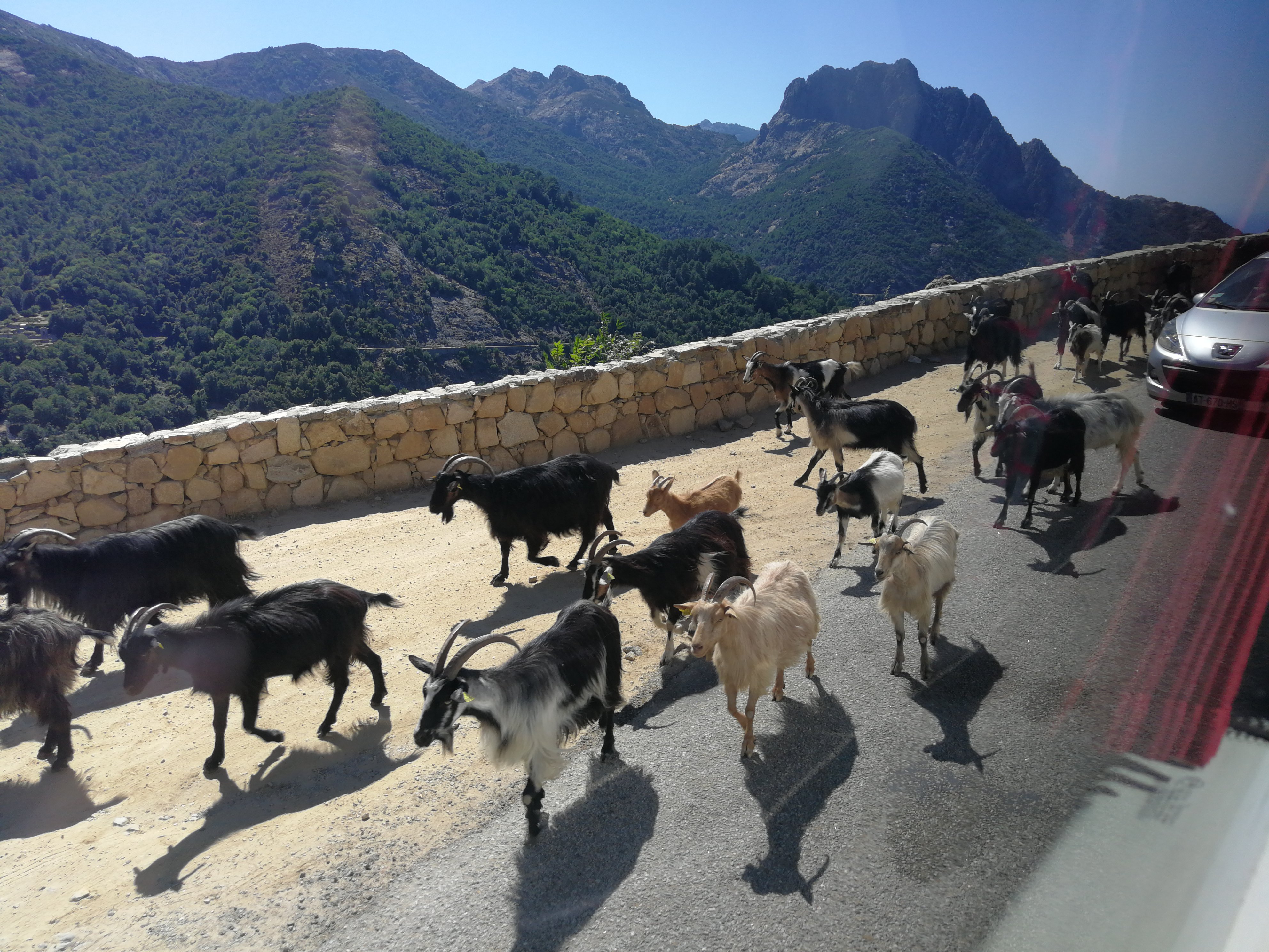 Photo n° 2 de l'avis de Pete.o fait le 14/08/2023 à 14:43