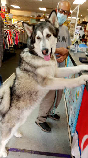 Pet Supply Store «Bark Avenue Pet Specialties», reviews and photos, 435 Sebastian Blvd, Sebastian, FL 32958, USA