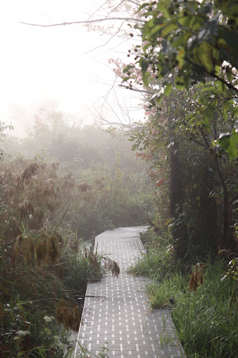 Nature Preserve «Beanblossom Bottoms Nature Preserve - Sycamore Land Trust», reviews and photos, N Woodall Rd, Ellettsville, IN 47429, USA