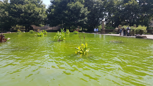Park «Meridian Hill Park», reviews and photos, 2400 15th St NW, Washington, DC 20009, USA