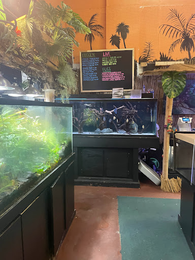 Pet Store «Off The Hook Exotics Pet Shop», reviews and photos, 926 5th Ave, Coraopolis, PA 15108, USA