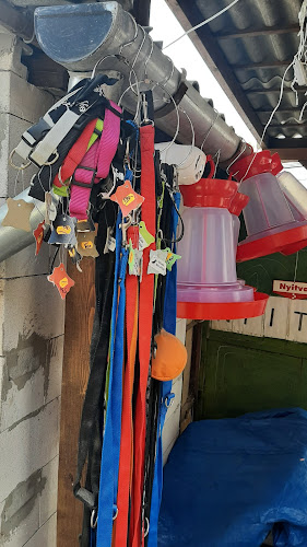 Opinii despre Ibolya Táp-Takarmánybolt în Üllő - Élelmiszerüzlet