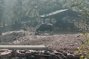 Indian Bison Enclosure image