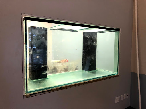 Tropical Fish Store «Hooked On Reefs», reviews and photos, 228 Hibiscus St #1, Jupiter, FL 33458, USA