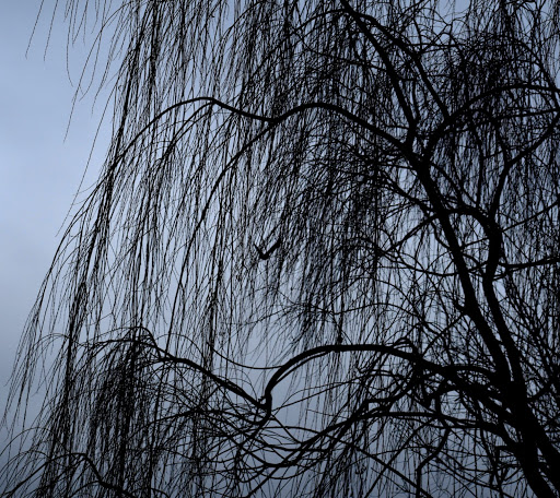 Golf Course «Van Cortlandt Park Golf Course», reviews and photos, 115 Van Cortlandt Park S, Bronx, NY 10471, USA