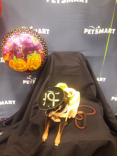 Pet Supply Store «PetSmart», reviews and photos, 315 Gellert Blvd, Daly City, CA 94015, USA