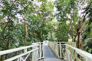 竹崎公園天空走廊 image