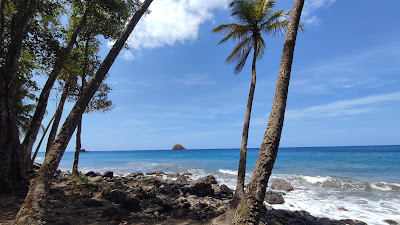 Voyager Vrai à Magny-le-Hongre