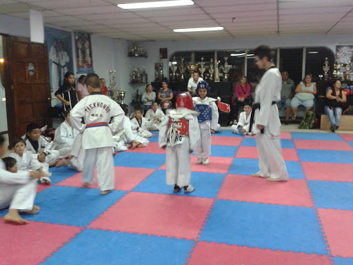 Taekwondo Yin Yang