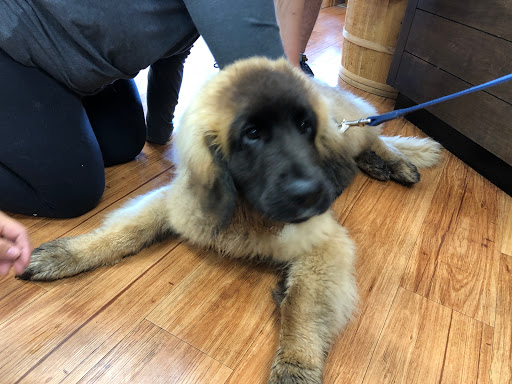 Pet Supply Store «Mud Bay», reviews and photos, 3804 Bridgeport Way W, University Place, WA 98466, USA