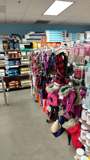 Pet Supply Store «Unleashed by Petco», reviews and photos, 7288 Sunset Blvd #1d, Los Angeles, CA 90046, USA