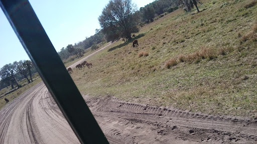 Tourist Attraction «Forever Florida», reviews and photos, 4755 North Kenansville Road, St Cloud, FL 34773, USA