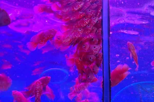 Kurla Aquariums image