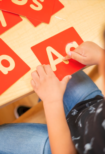 Day Care Center «Safari Kid daycare», reviews and photos, 34899 Newark Blvd, Newark, CA 94560, USA