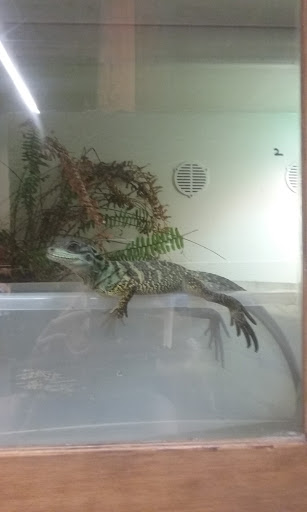 Pet Store «Lost Realms Pets», reviews and photos, 8059 N Cedar Ave, Fresno, CA 93720, USA