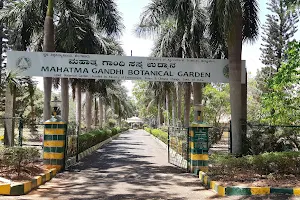 GKVK Botanical Garden image