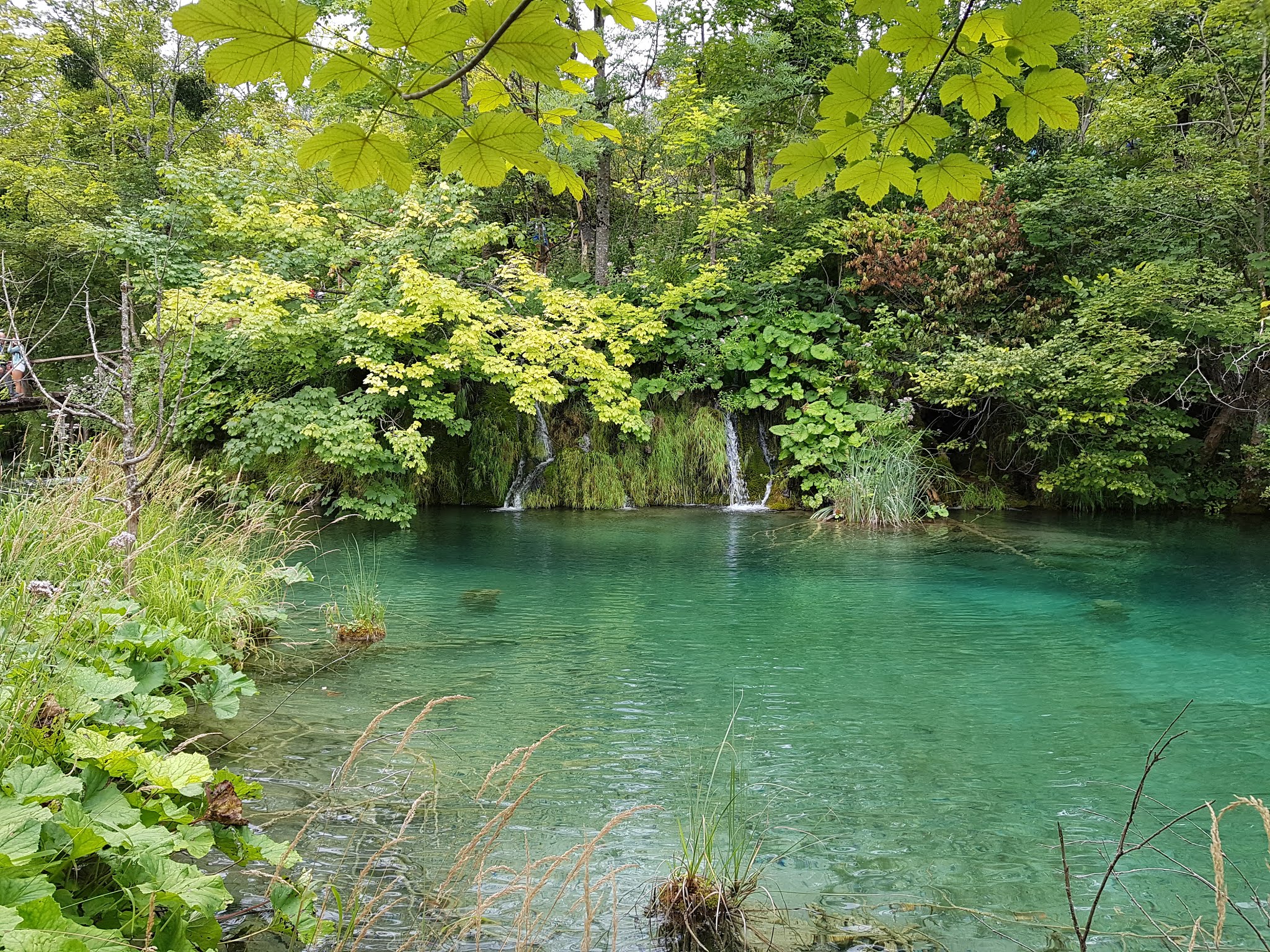 Photo n° 3 de l'avis de Pierre.O fait le 15/09/2019 à 19:06