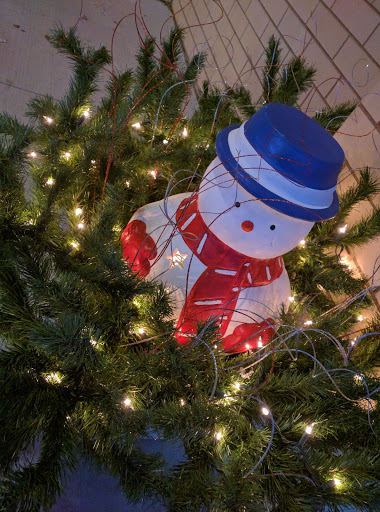 Community Center «Sylvester Powell Jr. Community Center», reviews and photos, 6200 Martway St, Mission, KS 66202, USA