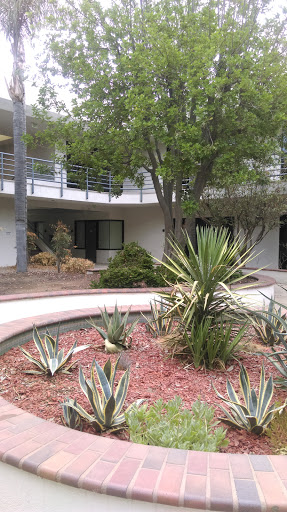 Community Center For Healthy Minds