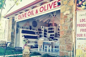 Virginia Olive Oil & Olives image