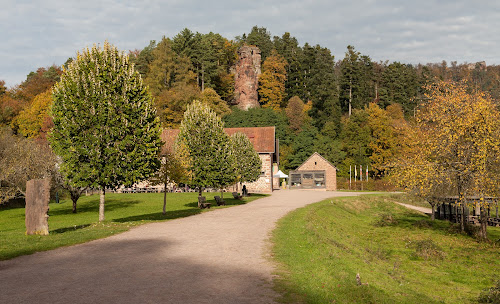attractions Château Fort de Fleckenstein Lembach