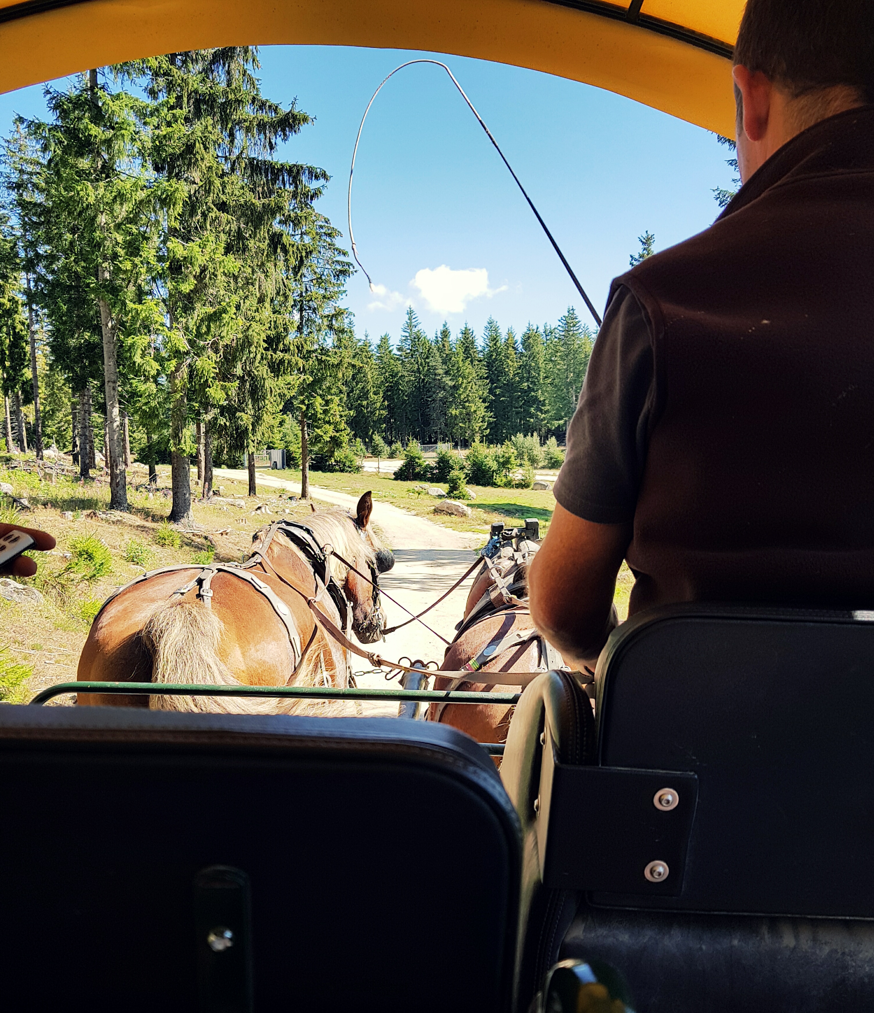 Photo n° 1 de l'avis de Cédric. fait le 31/12/2018 à 15:13