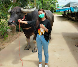 ม่วงนครฟาร์ม photo