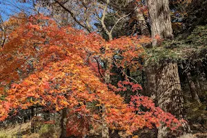 Tochigi Prefectural Forest image