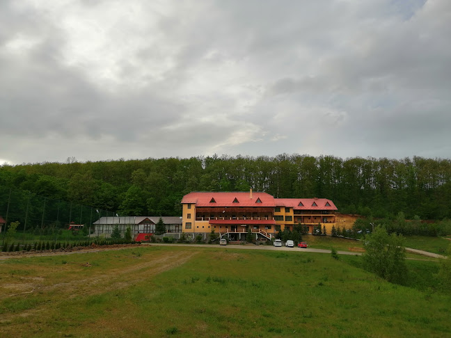 Pensiunea Randra - Hostal