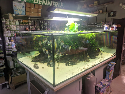 fishbox - specializirana trgovina za akvaristiko