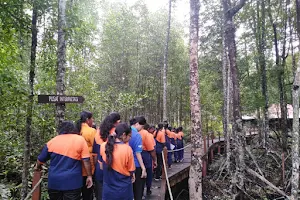 Matang Mangrove Forest Reserve Eco Park image
