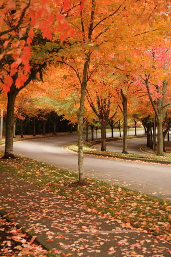 Recreation Center «Murray Hill Recreation Association», reviews and photos, 11010 SW Teal Blvd, Beaverton, OR 97007, USA