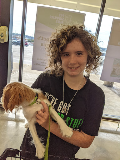 Pet Supply Store «Pet Supplies Plus», reviews and photos, 1155 Washington Pike, Bridgeville, PA 15017, USA