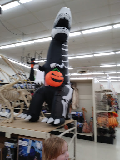 Discount Store «Big Lots», reviews and photos, 4840 Allen Rd, Zephyrhills, FL 33541, USA