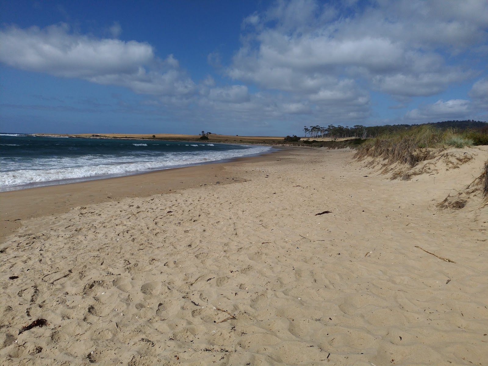 Kelvedon Beach photo #8