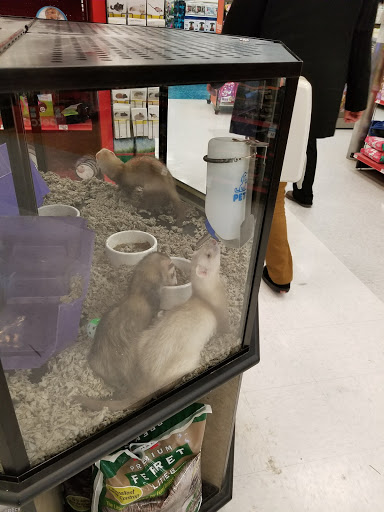 Pet Supply Store «Petco Animal Supplies», reviews and photos, 9078 SE Sunnyside Rd, Clackamas, OR 97015, USA