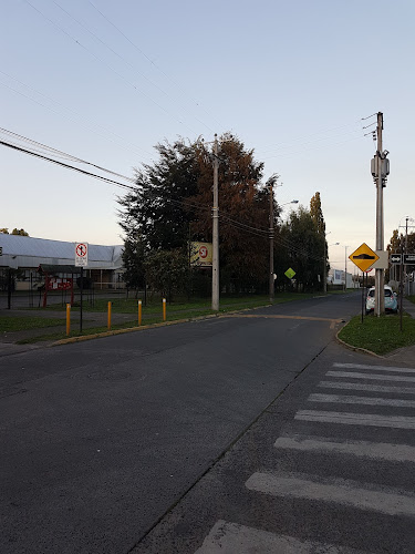 Corporación Educacional Saint Thomas College Osorno - Escuela